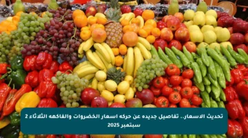 تحديث الأسعار.. تفاصيل جديدة عن حركة أسعار الخضروات والفاكهة الثلاثاء 2 سبتمبر 2025